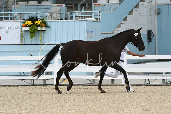 HSM_1024