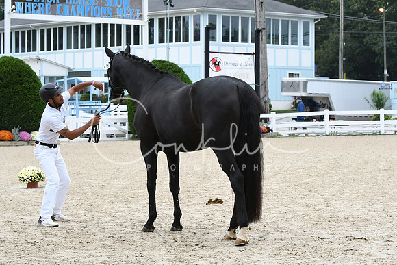 HSM_0754