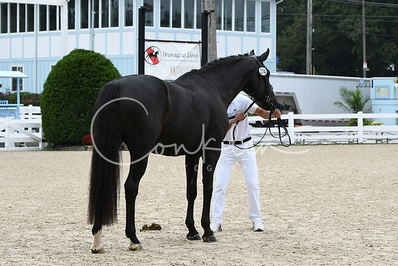 HSM_0756