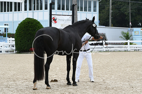HSM_0757
