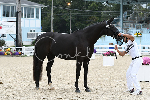 HSM_0758