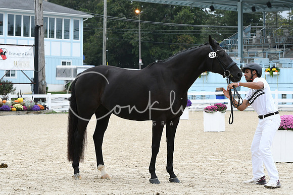 HSM_0759