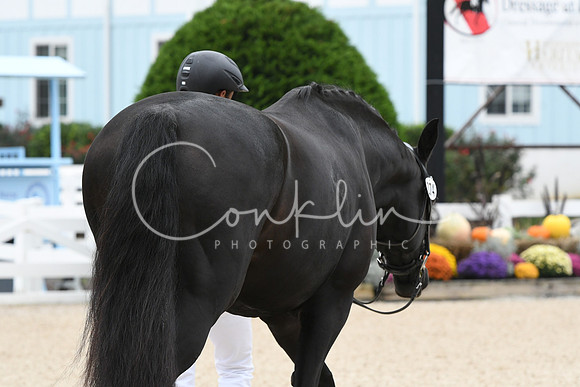 HSM_0760