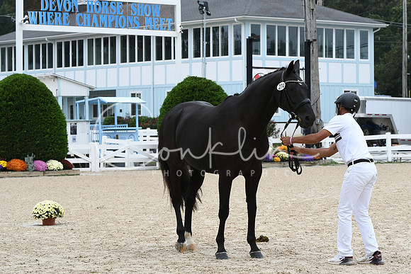 HSM_0776