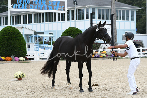 HSM_0777