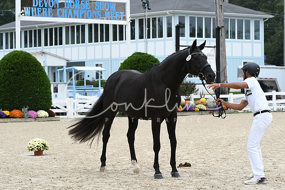 HSM_0778