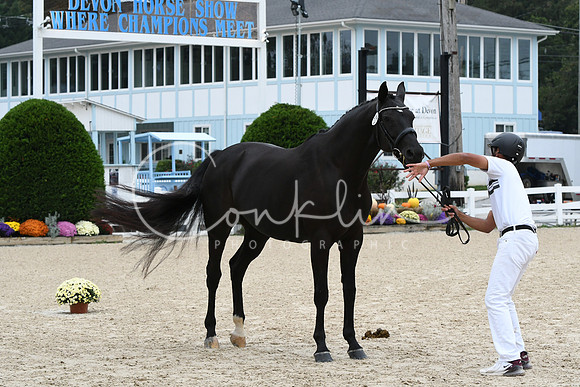 HSM_0779
