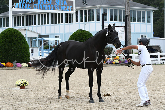 HSM_0780