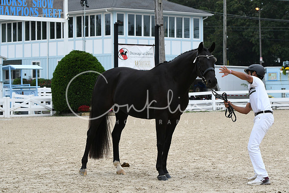 HSM_0781