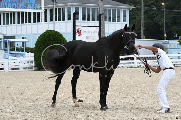 HSM_0783