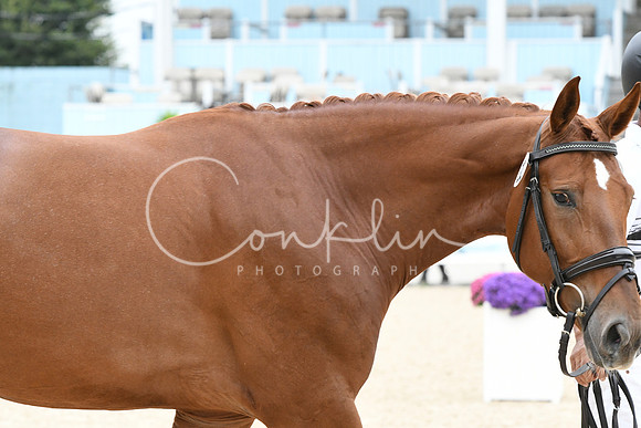 HSM_0939