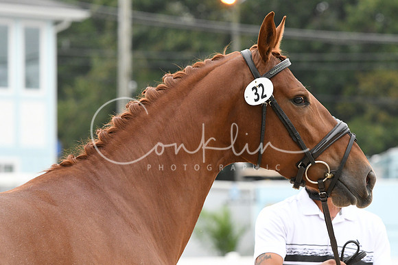 HSM_0912