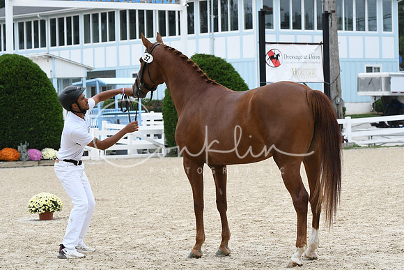 HSM_0914