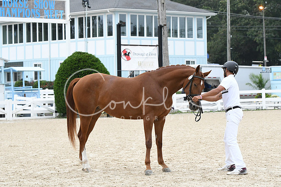 HSM_0918