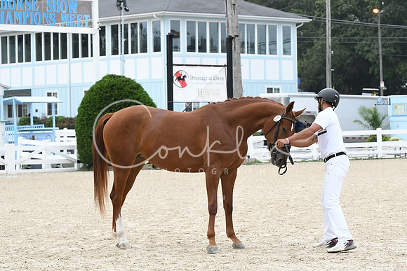 HSM_0919