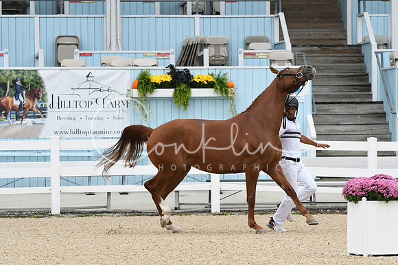 HSM_0932