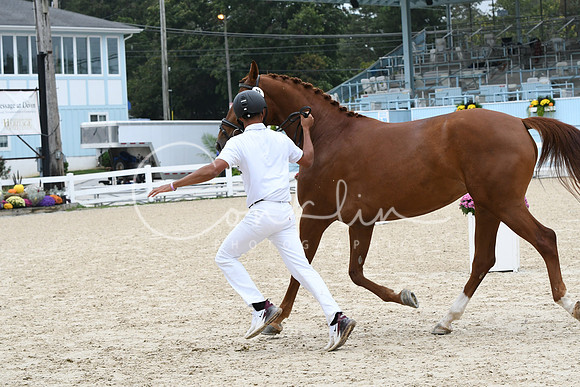 HSM_0933