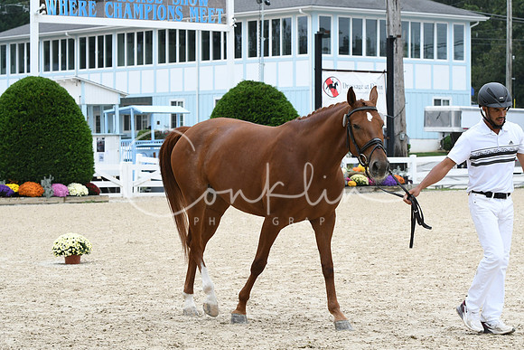 HSM_0937