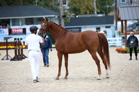 BW188250