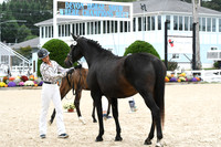 HSM_0989
