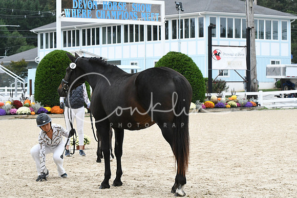HSM_0994