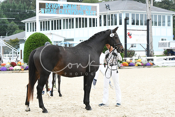 HSM_0995