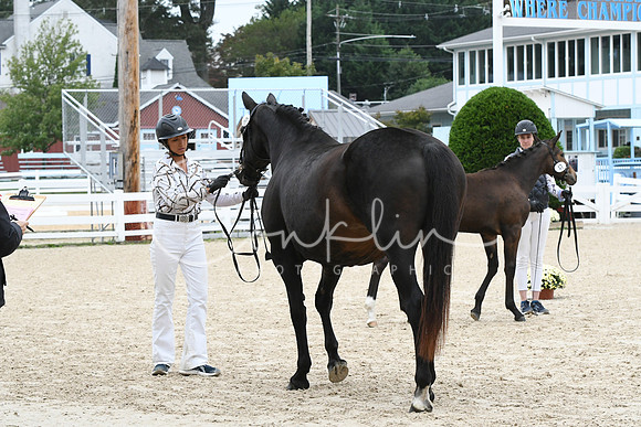 HSM_0997