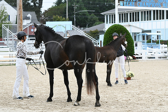 HSM_0999