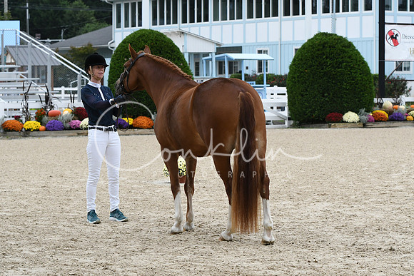 HSM_0647