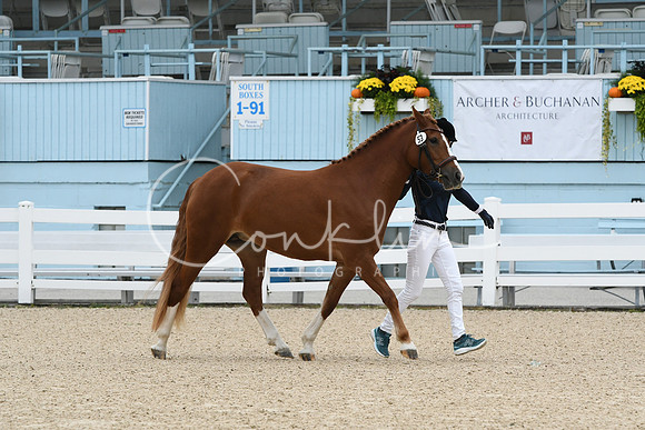 HSM_0661