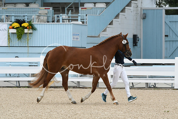 HSM_0663