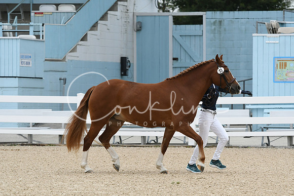HSM_0664