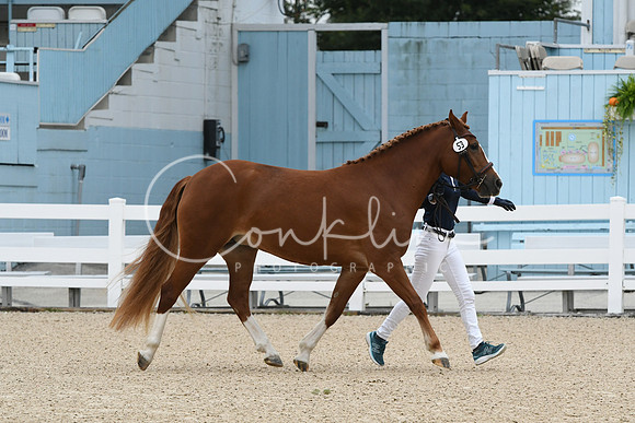 HSM_0665