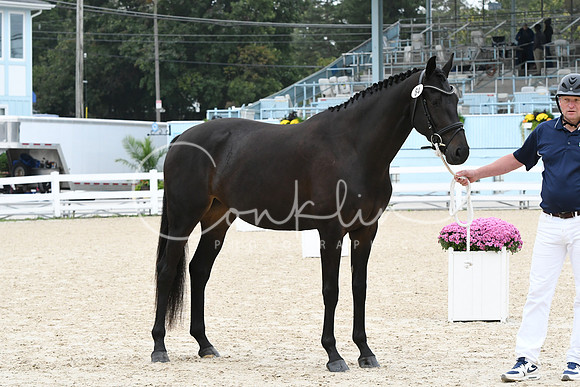 HSM_0910