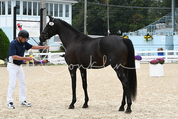 HSM_0876