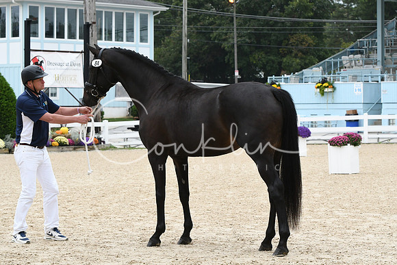 HSM_0877
