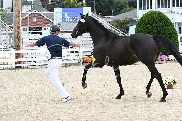 HSM_0903