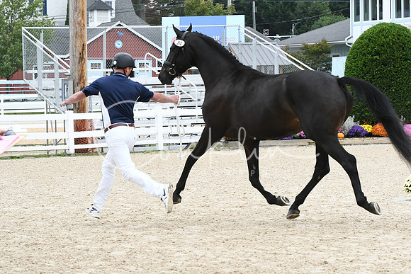 HSM_0904