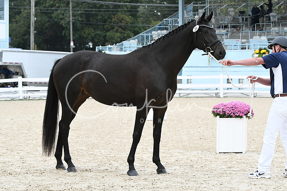 HSM_0906
