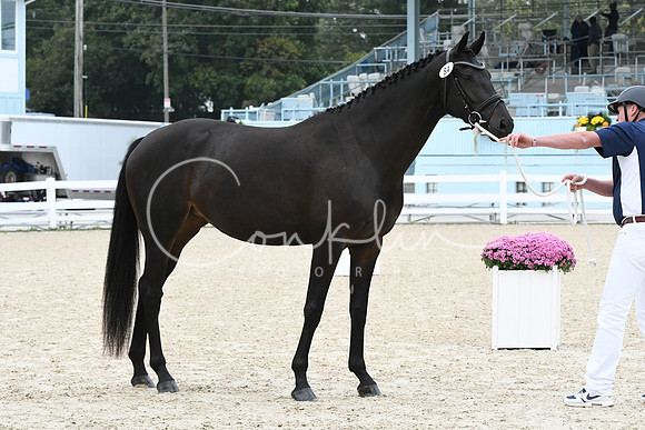 HSM_0907