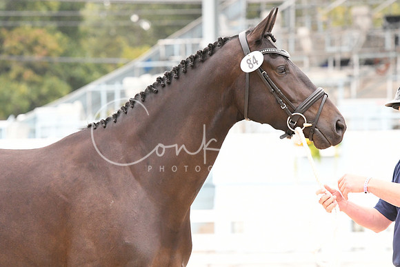 HSM_0908