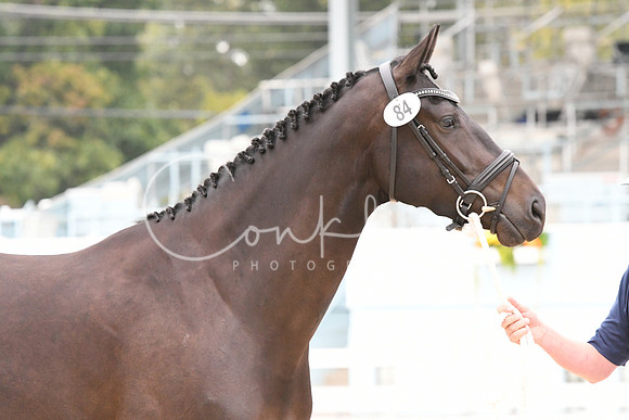 HSM_0909