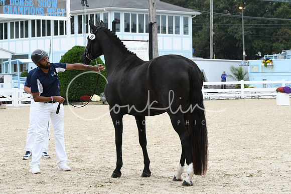 HSM_0946