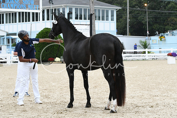HSM_0947