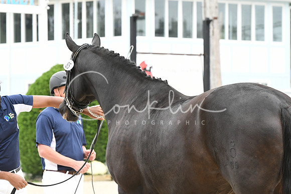 HSM_0948