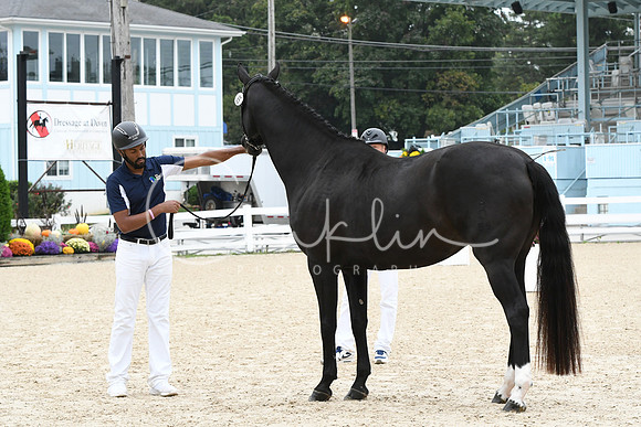HSM_0950