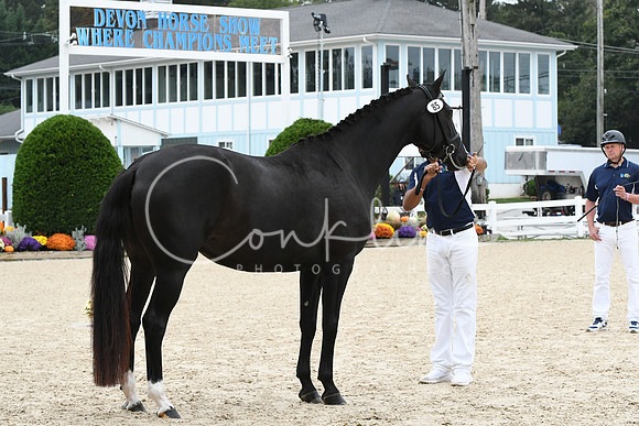 HSM_0957