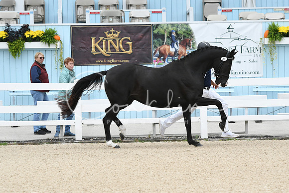 HSM_0969