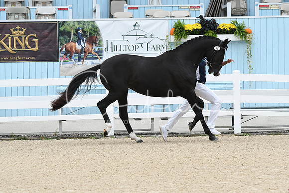 HSM_0971