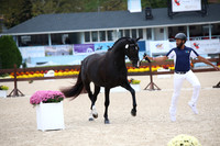 BW188305